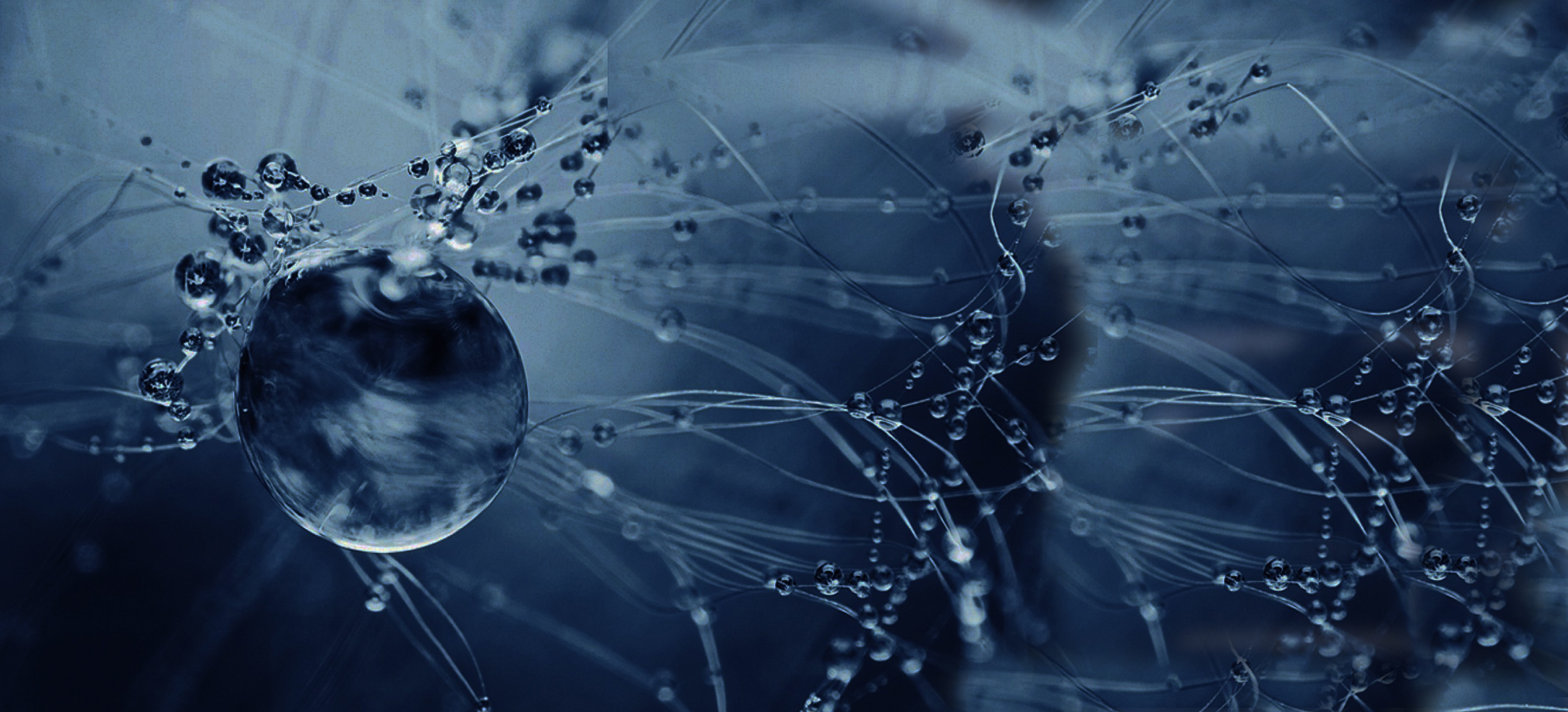 Water Treatment Systems